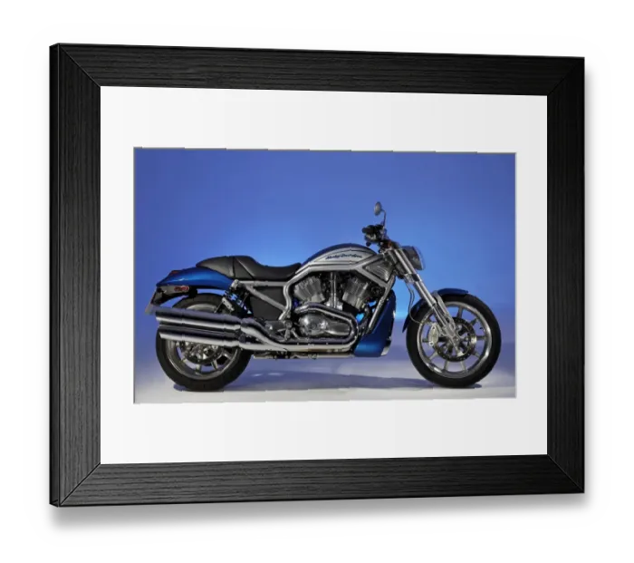 Framed Print : 2005 Harley Davidson VRSCR Street Rod Framed Print : 2005 Harley Davidson VRSCR Street Rod