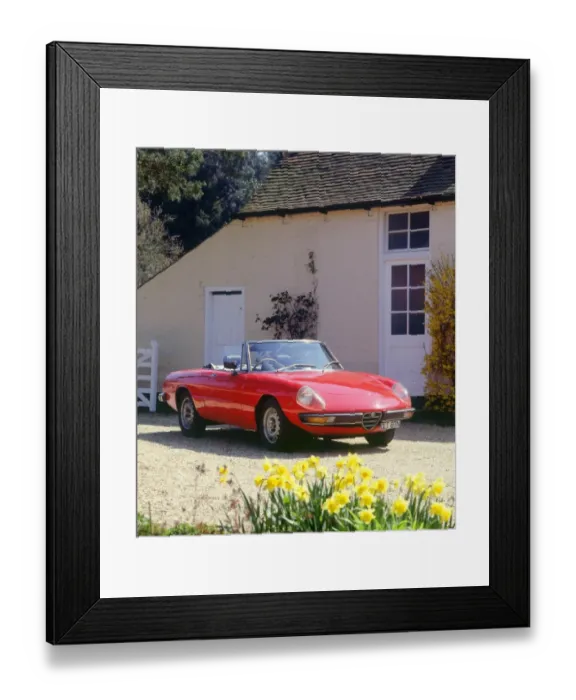 Framed Print : 1975 Alfa Romeo