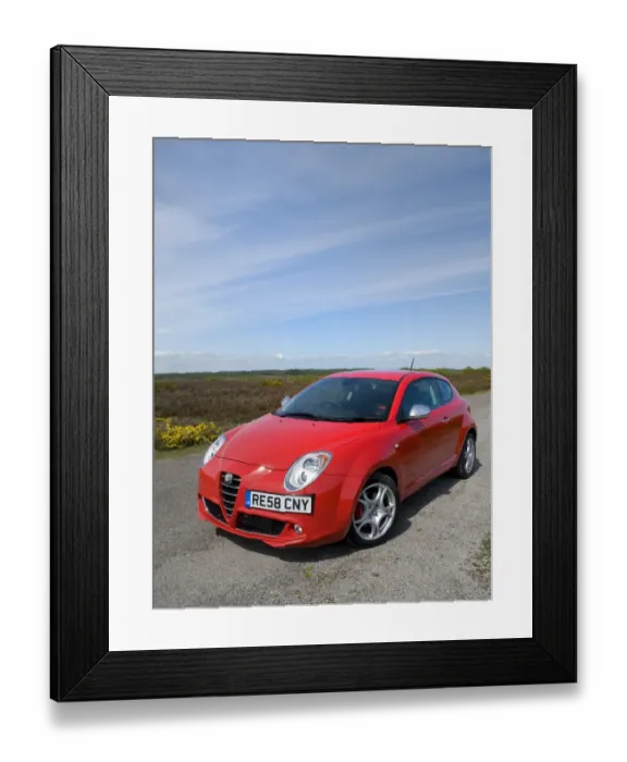 Framed Print : 2009 Alfa Romeo