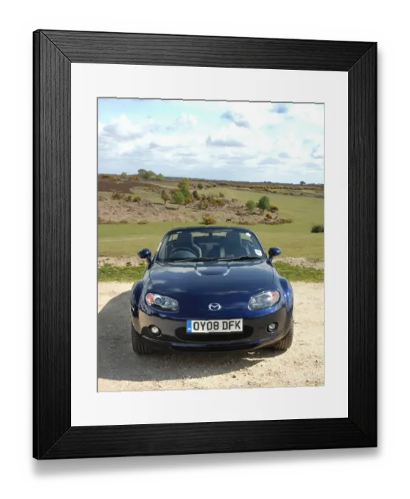 Framed Print : 4008pic Framed Print : 4008pic