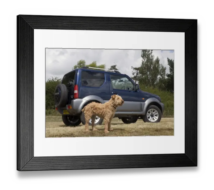 Framed Print : 2009 Suzuki Jimny Framed Print : 2009 Suzuki Jimny