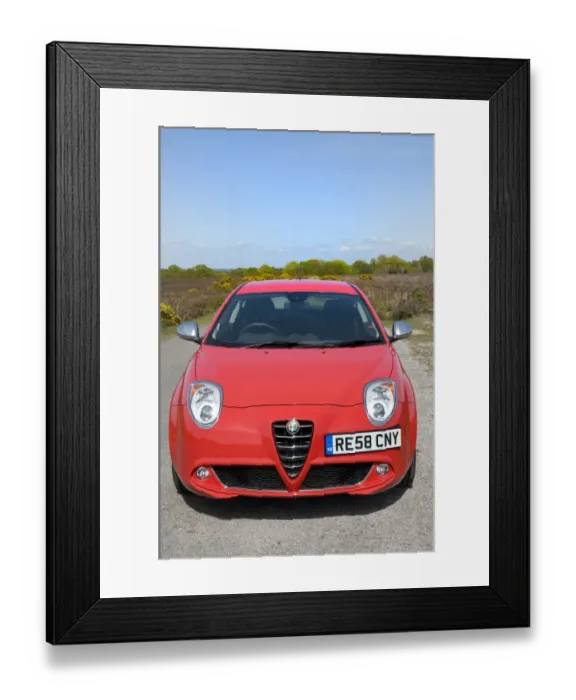Framed Print : 2009 Alfa Romeo