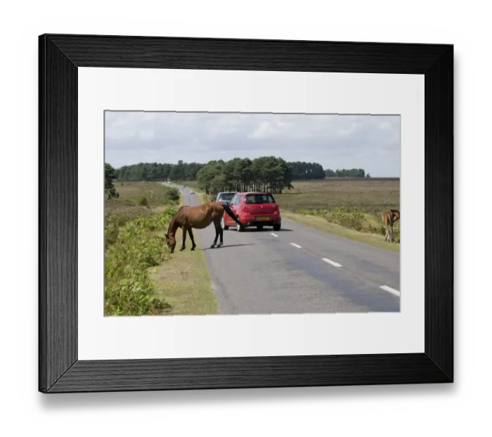 Framed Print : Traffic avoiding Framed Print : Traffic avoiding