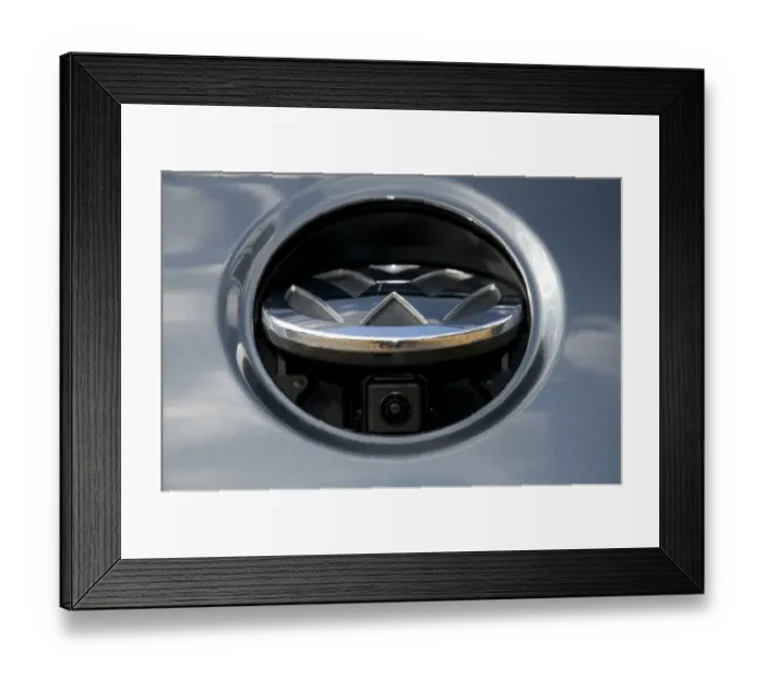 Framed Print : 2009 Volkswagen Framed Print : 2009 Volkswagen