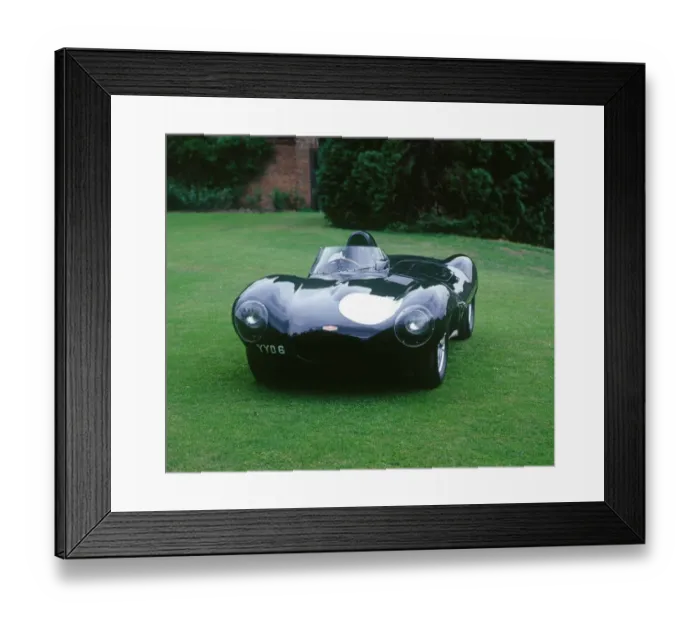 Framed Print : 1955 Jaguar D type