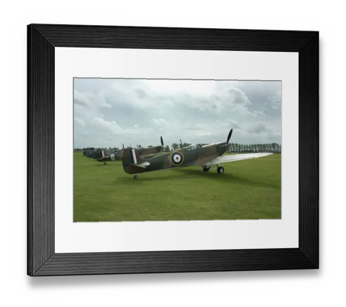 Framed Print : 2011 Goodwood Revival, row of Spitfires Framed Print : 2011 Goodwood Revival, row of Spitfires