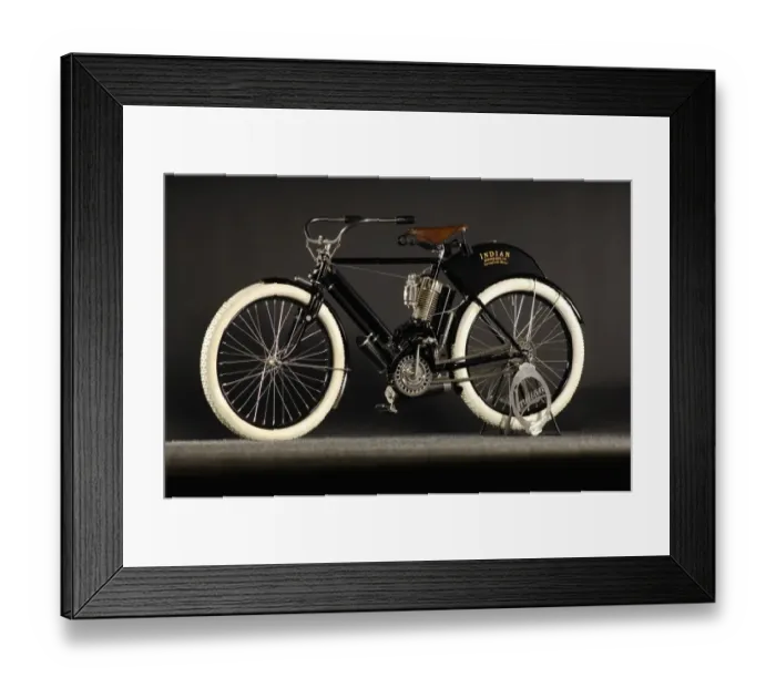 Framed Print : Indian Camel Back Framed Print : Indian Camel Back