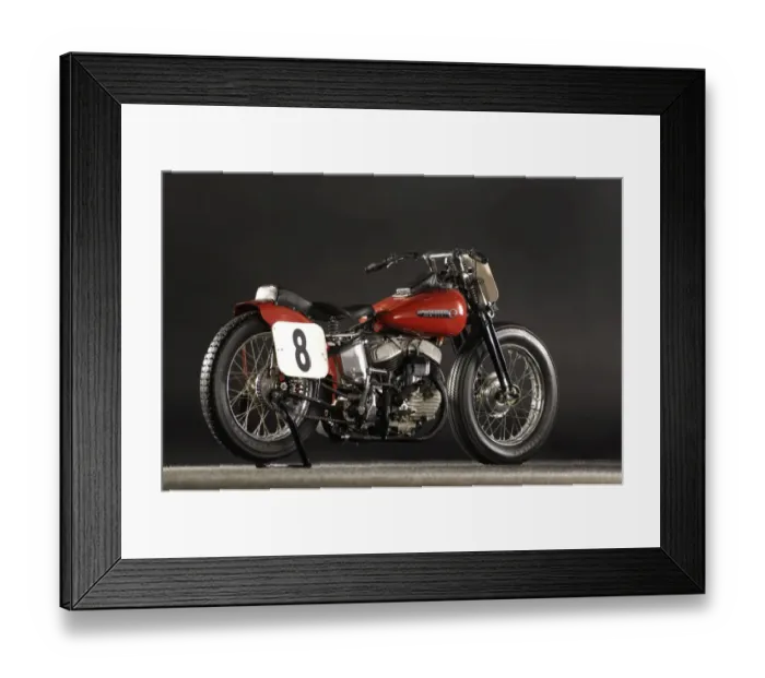 Framed Print : Indian Model 648 Framed Print : Indian Model 648