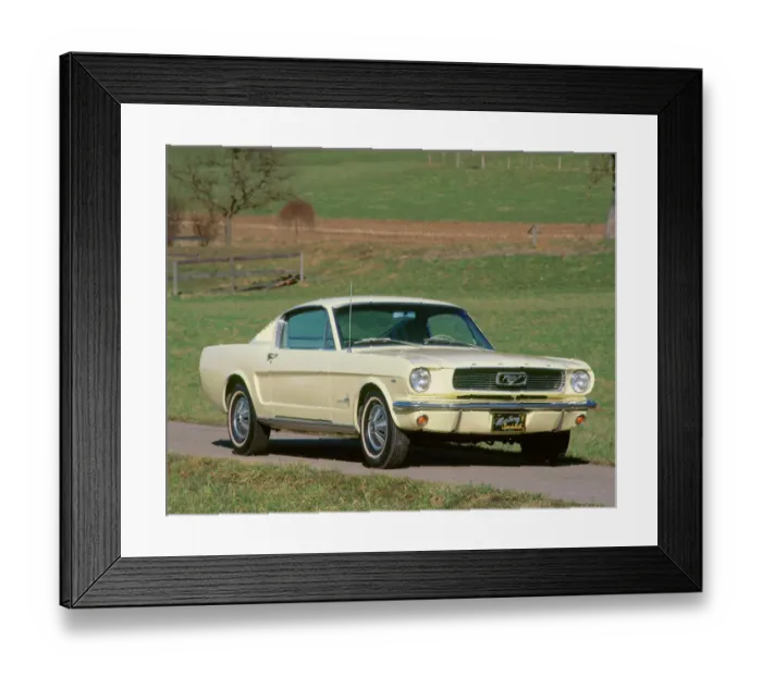 Framed Print : 1966 Ford Mustang Framed Print : 1966 Ford Mustang