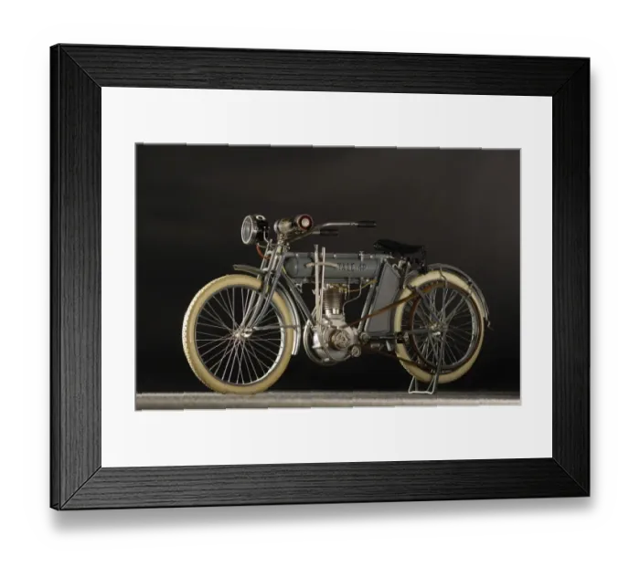 Framed Print : Indian Model 648 Framed Print : Indian Model 648