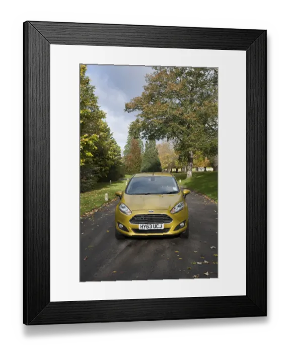 Framed Print : E01513 2013 model Ford Fiesta Econetic Framed Print : E01513 2013 model Ford Fiesta Econetic