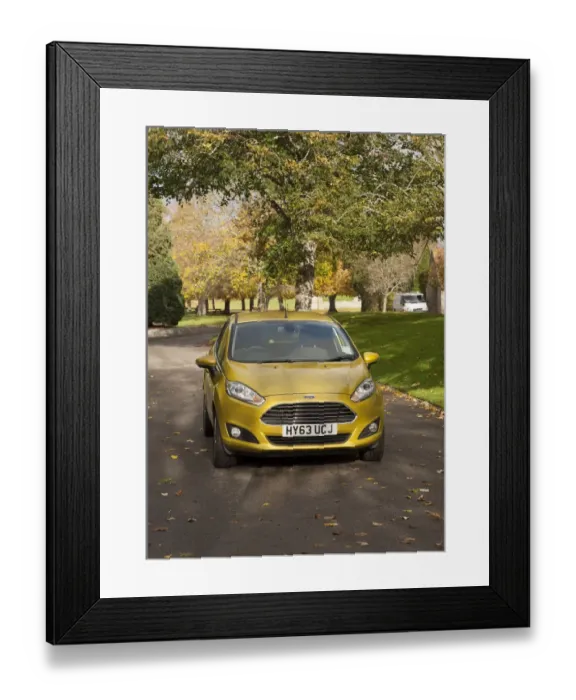 Framed Print : 2013 model Ford Fiesta Econetic Framed Print : 2013 model Ford Fiesta Econetic
