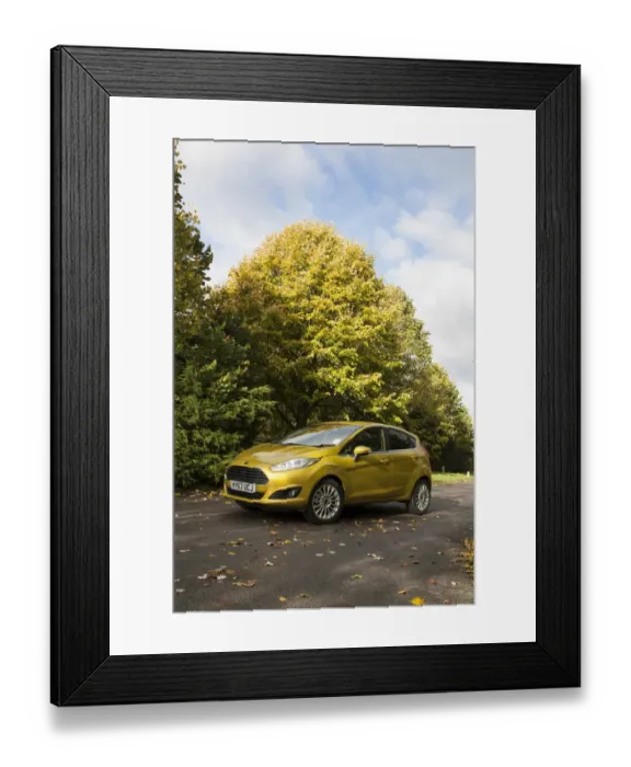 Framed Print : 2013 model Ford Fiesta Econetic