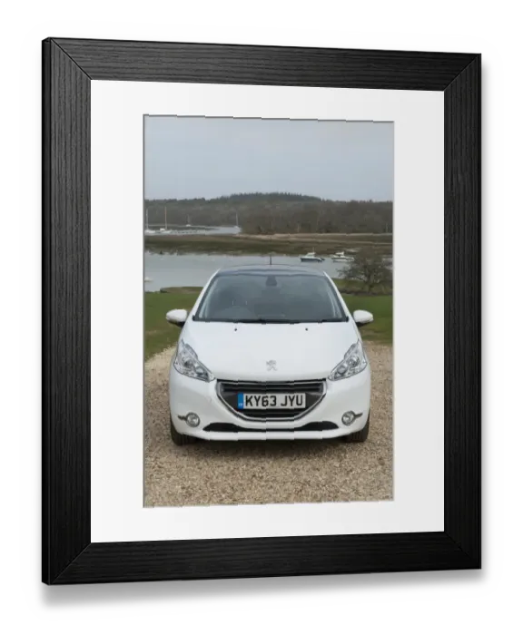 Framed Print : E01519 2014 Peugeot 208 Framed Print : E01519 2014 Peugeot 208