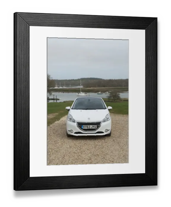 Framed Print : E01519 2014 Peugeot 208 Framed Print : E01519 2014 Peugeot 208