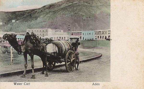 Camel-drawn water cart, Aden