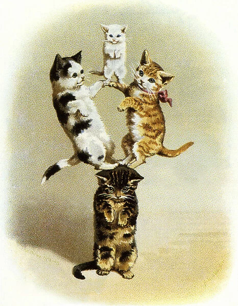 Cats Balancing on Cat Date: 1905