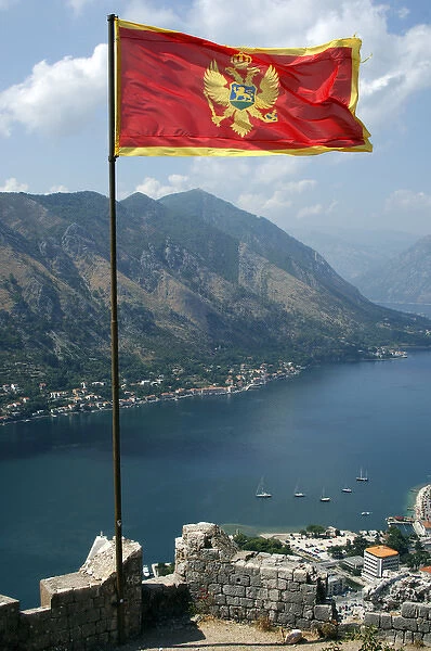Flag of the Republic of Montenegro