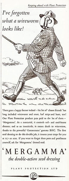 Mergamma pesticide advert, 1951