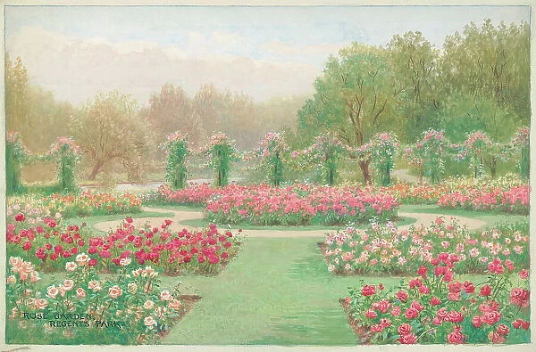 Rose Garden, Regents Park, London Parks