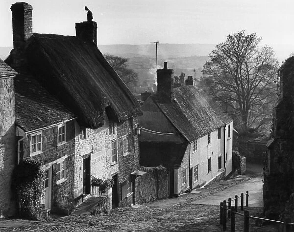 Row of cottages in a sloping street, Shaftesbury, Dorset