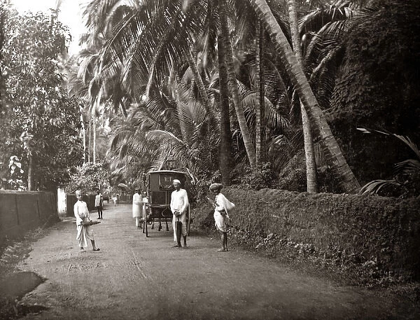 Suburban street scene, Bombay, India, circa 1880s