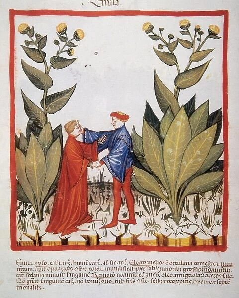 Tacuinum Sanitatis. Late XIV century. Men greeting next to a