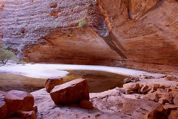 Amphitheatre - striking amphitheatre in Cathedral Gorge which is nestled within the famous beehive-shaped domes of the Bungle Bungles. High red sandstone walls rise up around a waterhole which still has some water in it