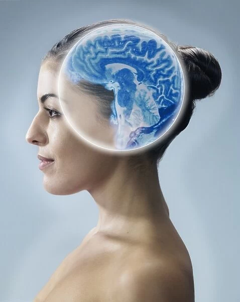 Brain scan, conceptual image C017  /  7391