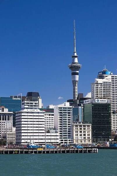 Auckland Sky Tower and city skyline, North Island, New Zealand, Pacific