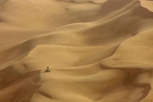 Desert safari, Dubai, United Arab Emirates, Middle East