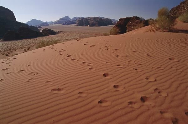 Footsteps, desert scenery