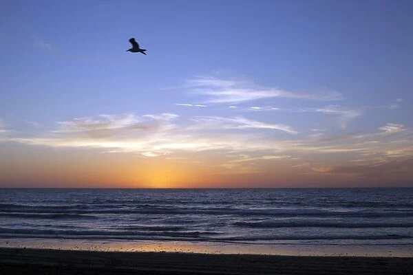 Sunset over La Jolla Coast, California, United States of America, North America