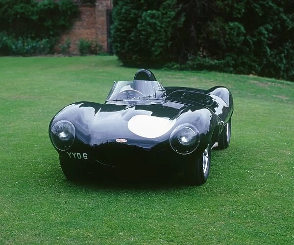 1955 Jaguar D type