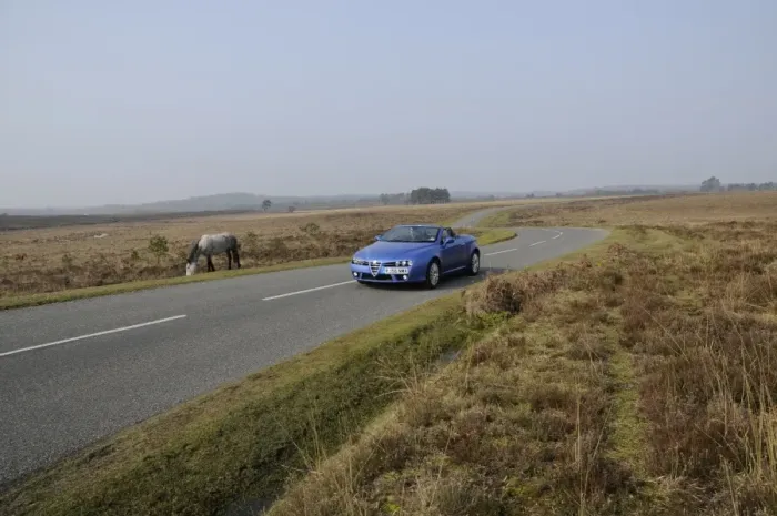 Framed Print : 2006 Alfa Romeo Spyder driving in New Forest Framed Print : 2006 Alfa Romeo Spyder driving in New Forest