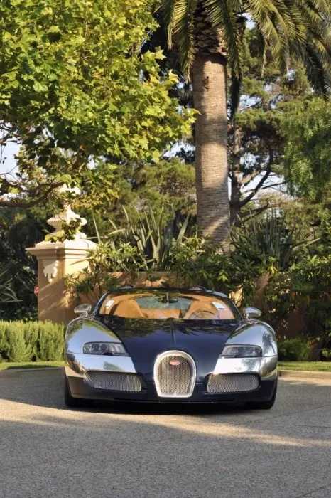 Framed Print : 2009 Bugatti Veyron Framed Print : 2009 Bugatti Veyron