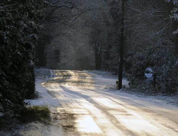 Sun glinting off an icy road in the New Forest 2009