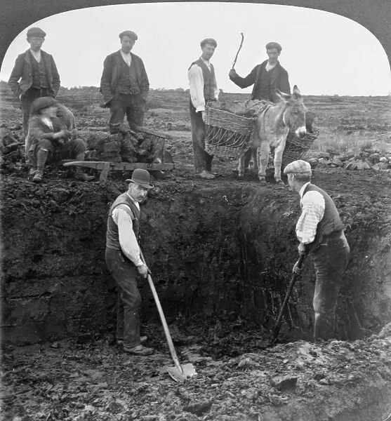 IRELAND: PEAT DIGGING. Men cutting peat from a bog and loading it on a donkey, near Kiltoom