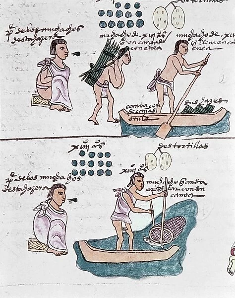 MEXICO: CODEX MENDOZA. A father teaches his son to carry firewood, to handle a canoe