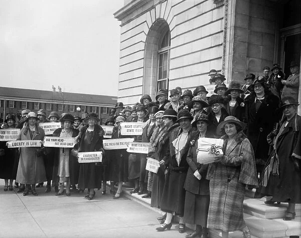 PROHIBITION HEARING, 1926. Group of women Prohibition advocates at the New Jersey State Capitol