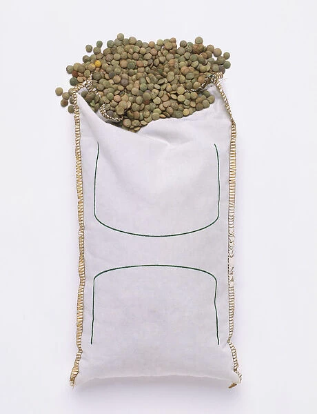 Bag of lentils from Spain