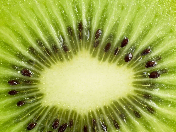 Cross section of kiwi fruit