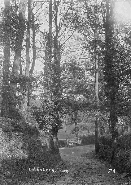 Dobbs Lane, Truro, Cornwall. Early 1900s