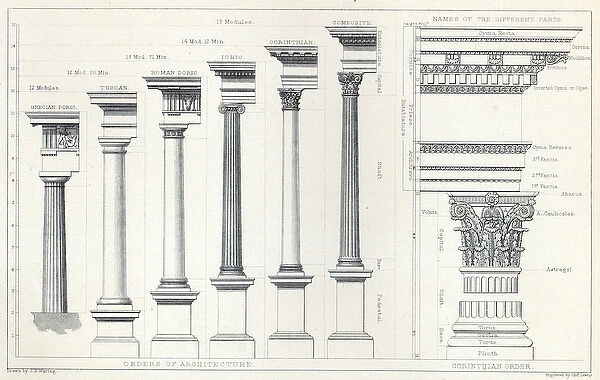 Architecture I: Orders of Architecture, engraved by Charles Lawrie (engraving)