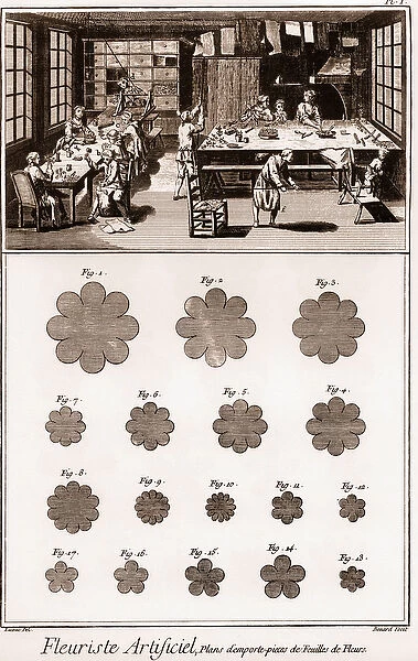 Artificial Florist Workshop: Encyclopedia or Dictionary of the Sciences