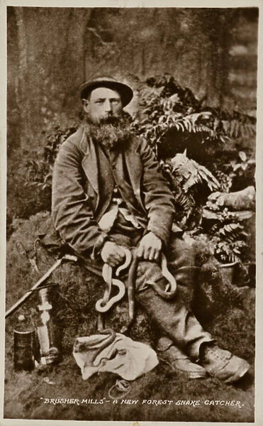 Brusher Mills, a New Forest snake catcher (b  /  w photo)