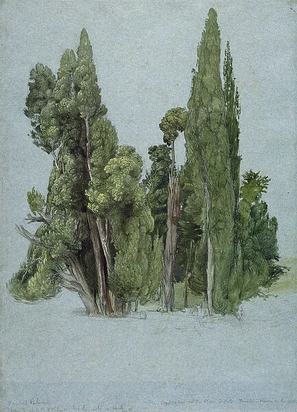 The Cypresses at the Villa d Este, Tivoli (w  /  c & gouache with graphite on paper)