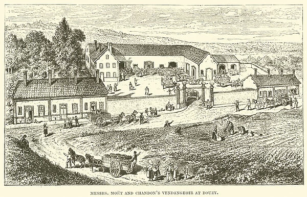 Messrs, Moet and Chandons Vendangeoir at Bouzy (engraving)