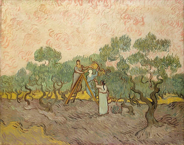 The Olive Pickers, Saint-Remy, 1889 (oil on canvas)