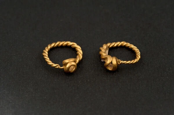 Pair of earrings (gold)